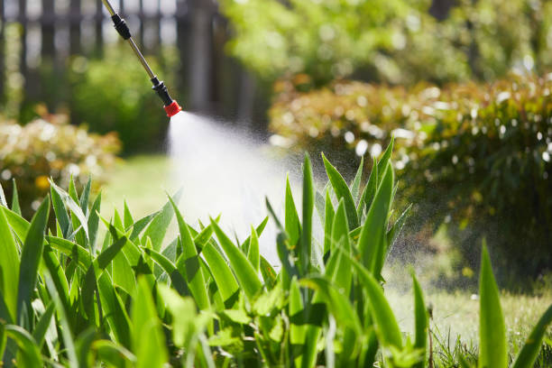 24/7 Emergency Mosquito Control experts in Sonora, CA