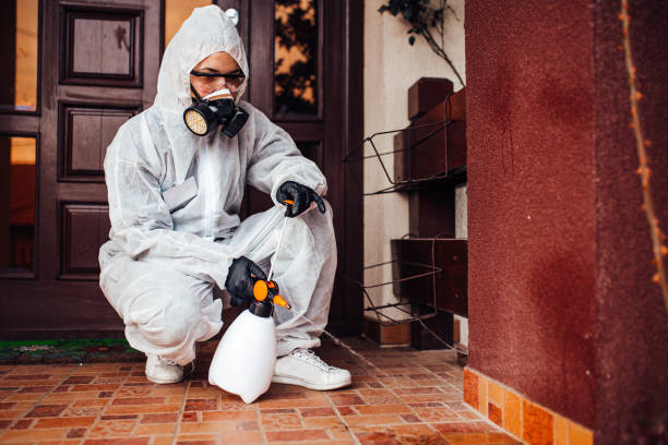 Reliable Mosquito Control contractor in Sonora, CA by Show Me Pest Control